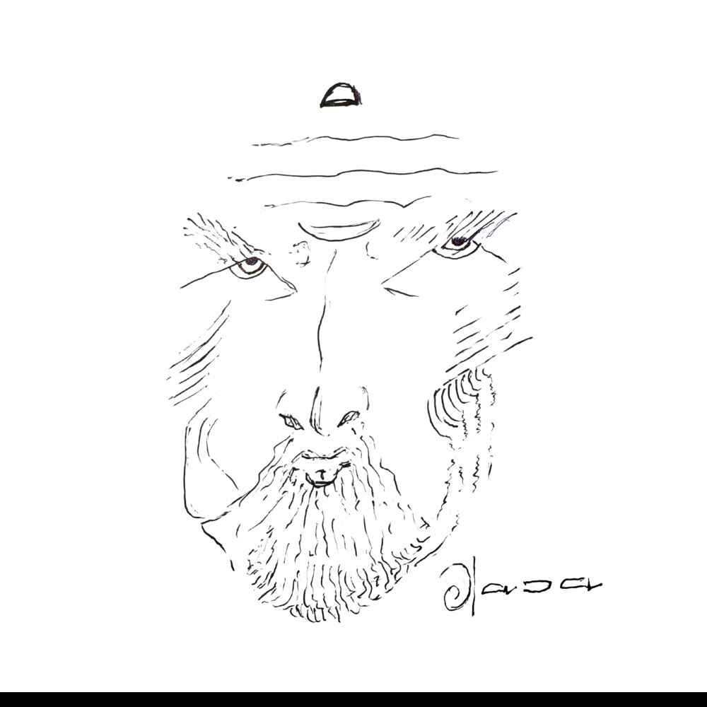 latest_Portfolio